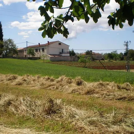 Quietly Country Terrace In Istra Apartmán Pifari