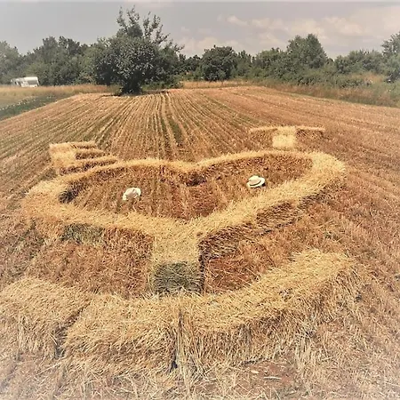 Quietly Country Terrace In Istra *