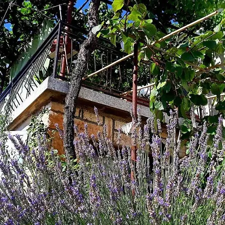 Quietly Country Terrace In Istra * Pifari